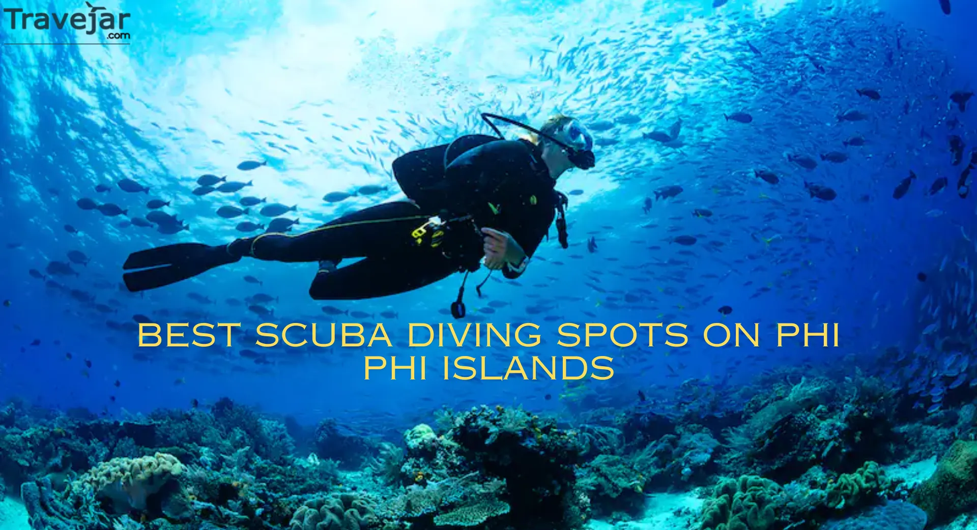 Best Scuba Diving Spots on Phi Phi Islands